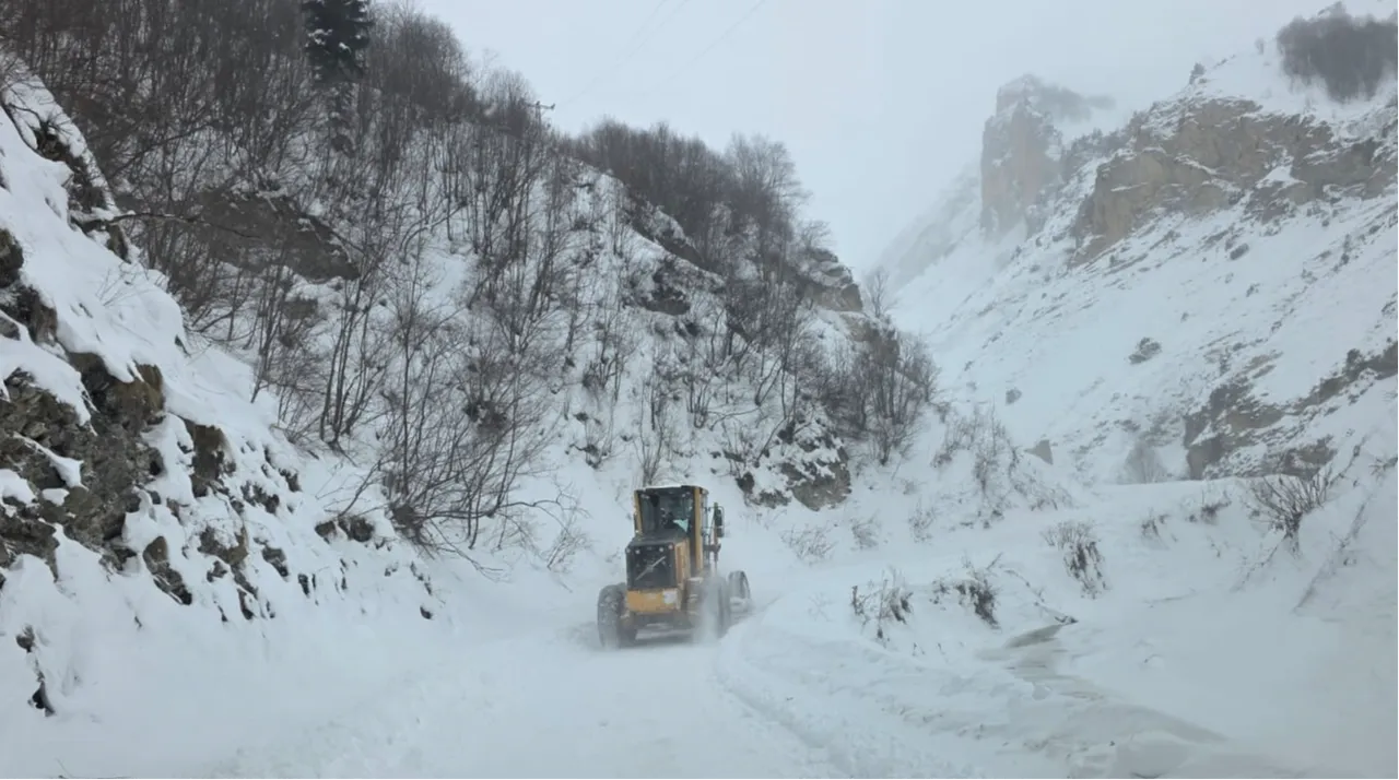 Ekipler çığın meydana geldiği bölgeye ulaşmaya çalışıyor.