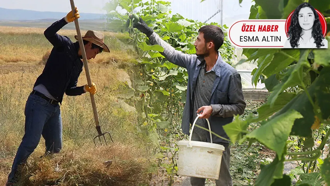 GENÇ NÜFUS TARIMDAN KAÇIYOR