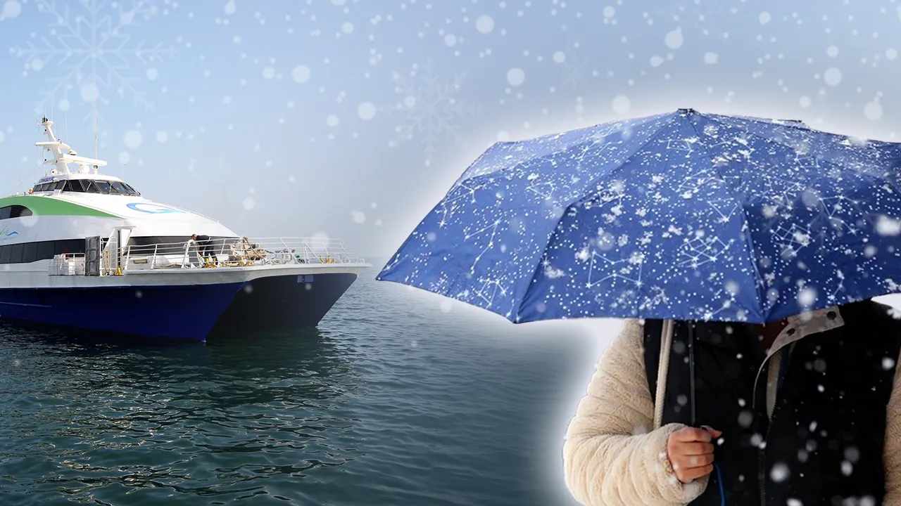 Meteoroloji Bursa'da kar yağışı için tarih vermişti! 2 BUDO seferi iptal edildi 