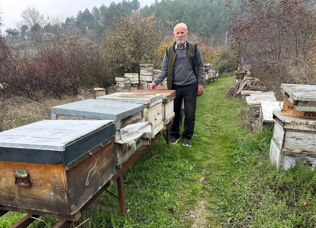Milyonlarca arı, kovana dönemeden öldü! Sebebi epey düşündürücü