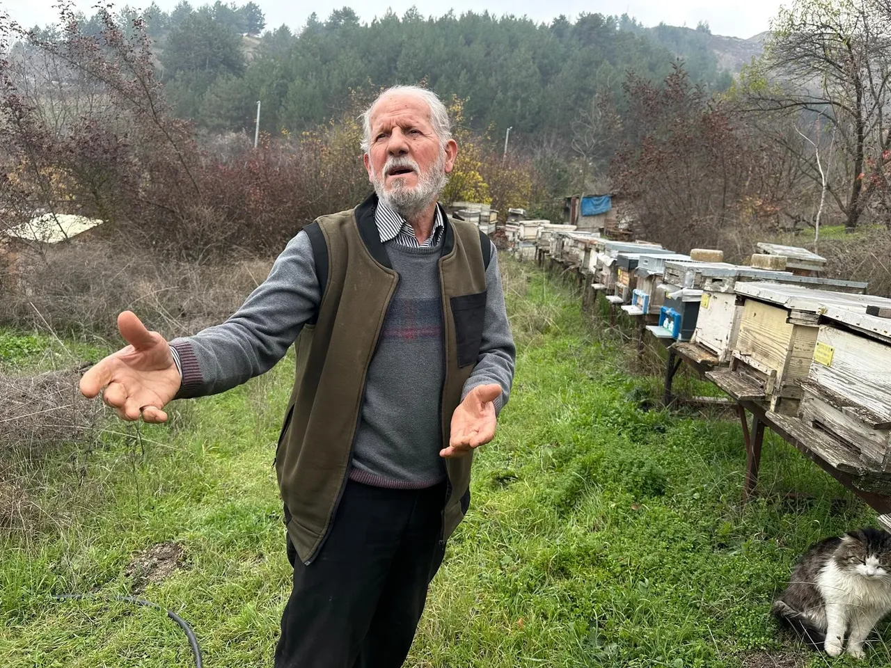 Milyonlarca arı, kovana dönemeden öldü! Sebebi epey düşündürücü