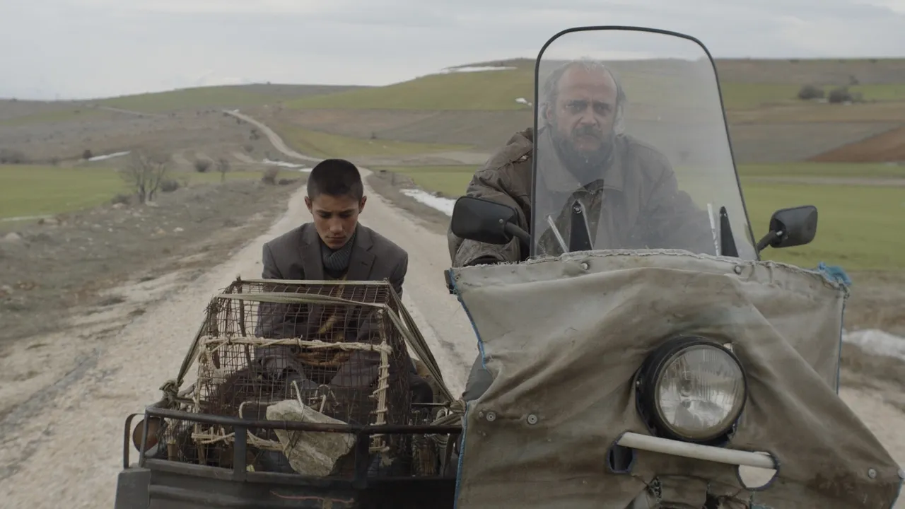 Sanat filmlerine yer açılıyor! 'Biz de varız' diyen yapımlara gösterim