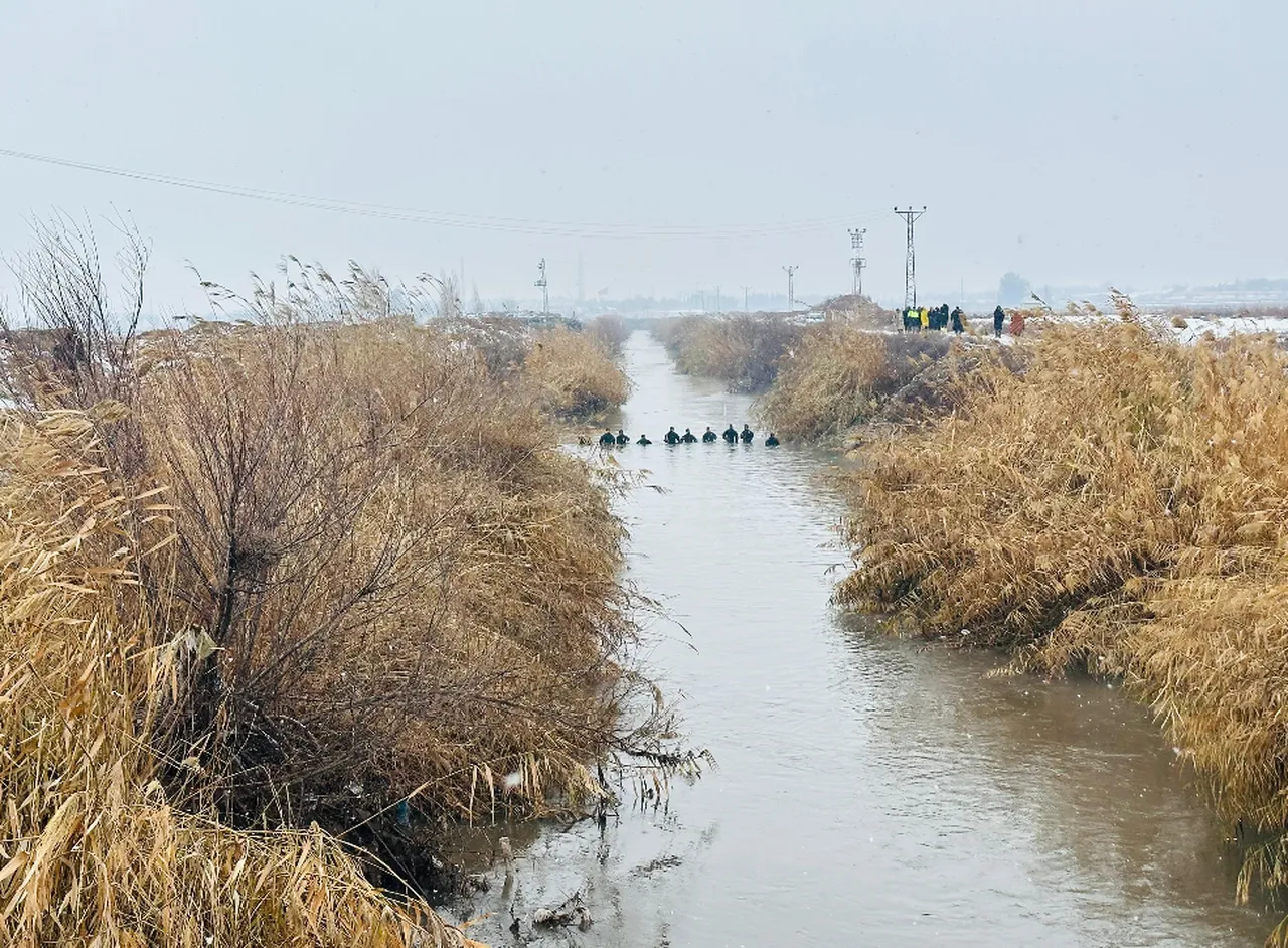 Şanlıurfada sulama kanalına düşen aracın sürücü hala kayıp! Arama devam ediyor