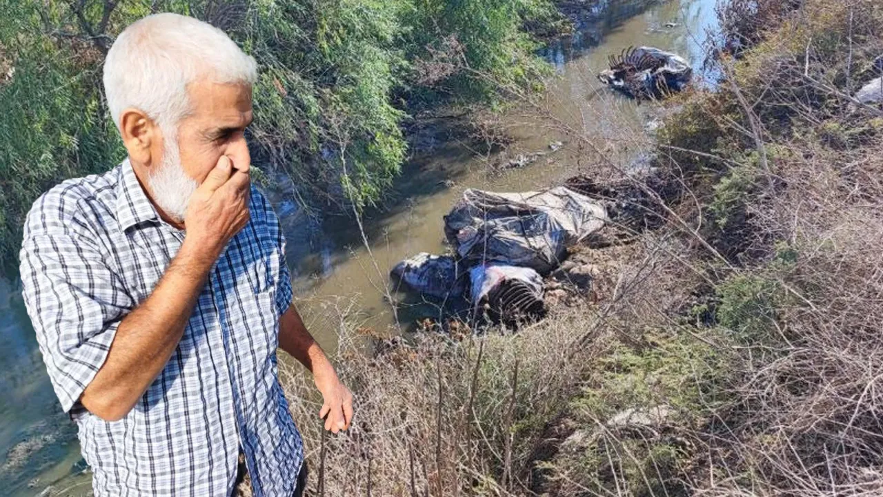 ADANA'DA İĞRENÇ GÖRÜNTÜ!
