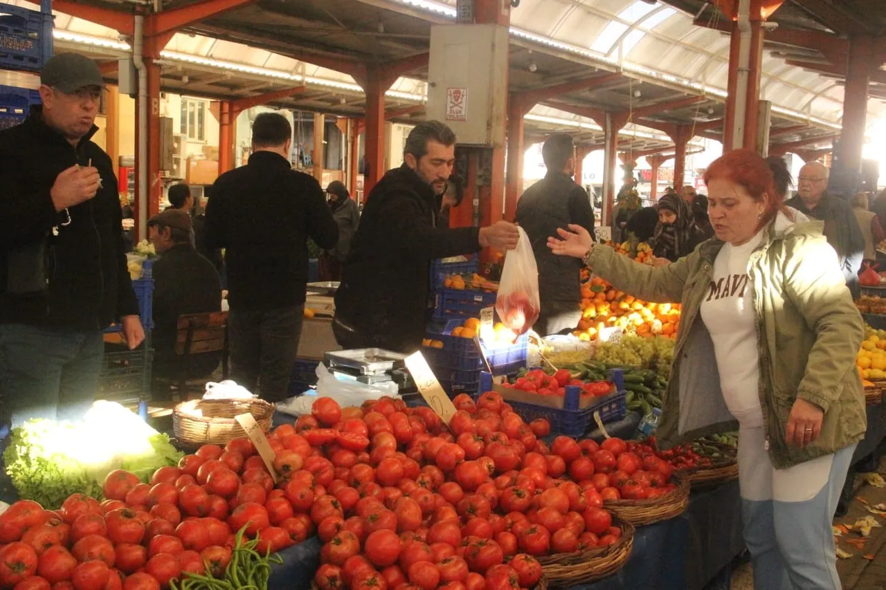 Çanakkalenin meşhur domatesi tezgahlarda: Kilosu 10 lira!