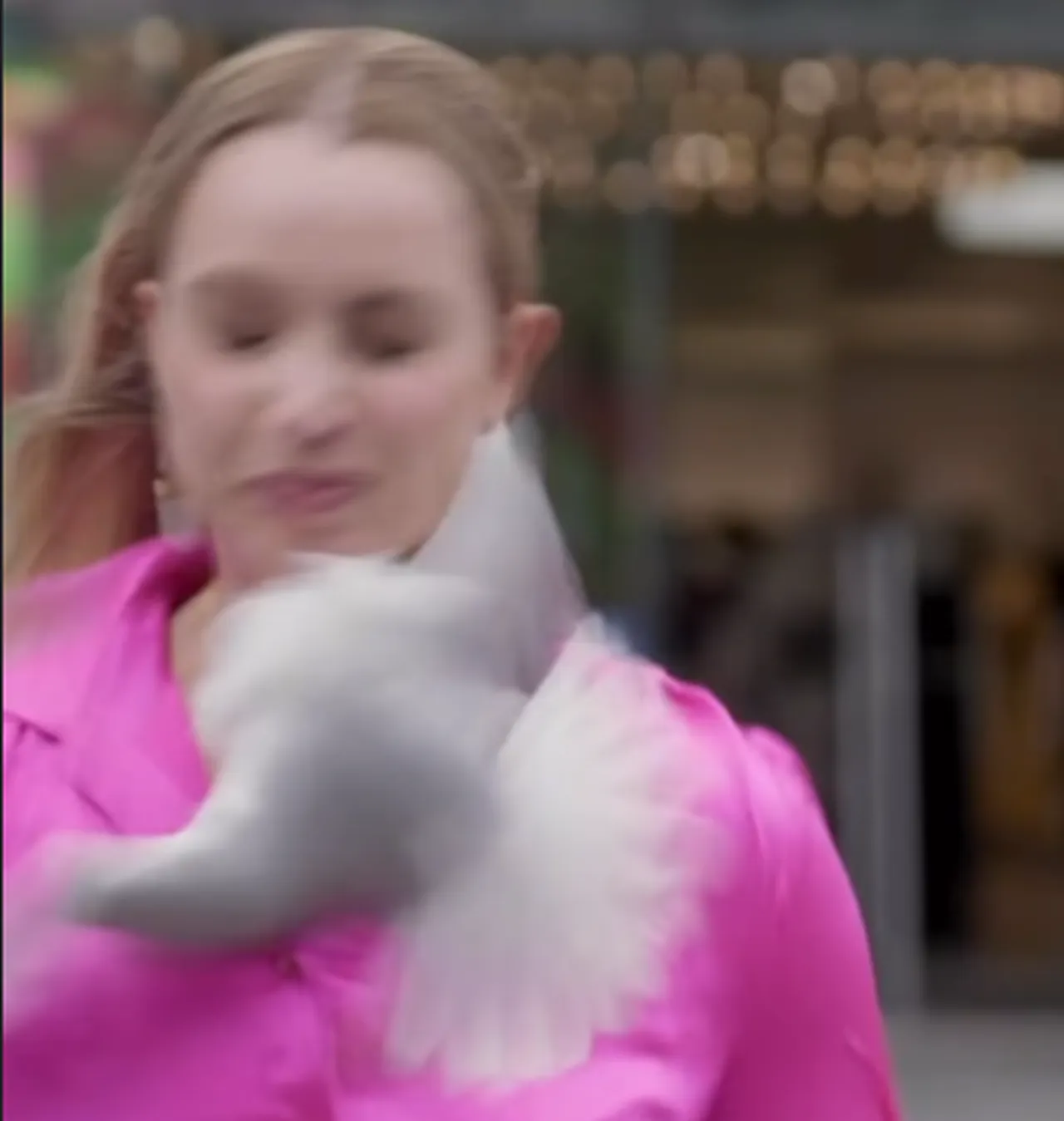 Canlı yayında martı saldırdı! Muhabir neye uğradığını şaşırdı