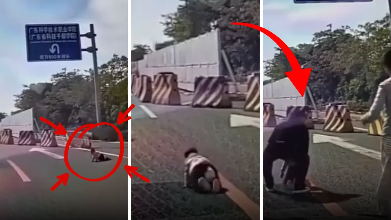 Emekleyerek otobana çıktı, saniyelerle kurtuldu! Panik dolu anlar kamerada