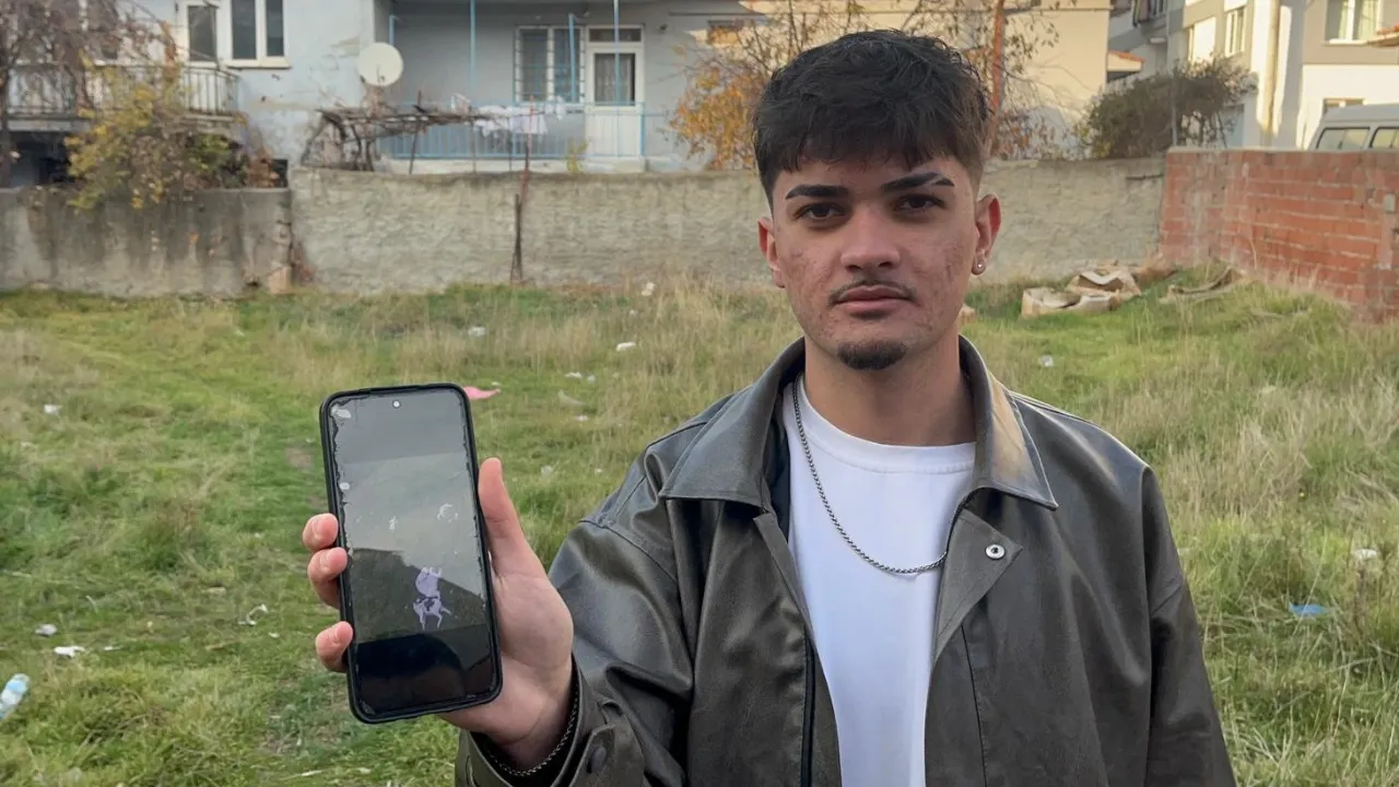 Eskişehir'de kedi katliamı! Hepsi boş arazide bulundu, manzara korkunç