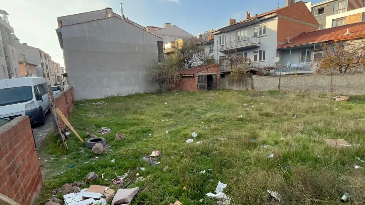 Eskişehirde kedi katliamı! Hepsi boş arazide bulundu, manzara korkunç