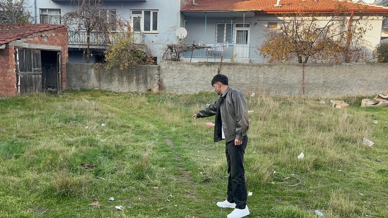 Eskişehirde kedi katliamı! Hepsi boş arazide bulundu, manzara korkunç