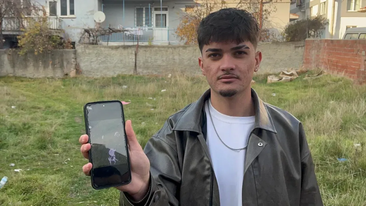 ESKİŞEHİR'DE KEDİ KATLİAMI