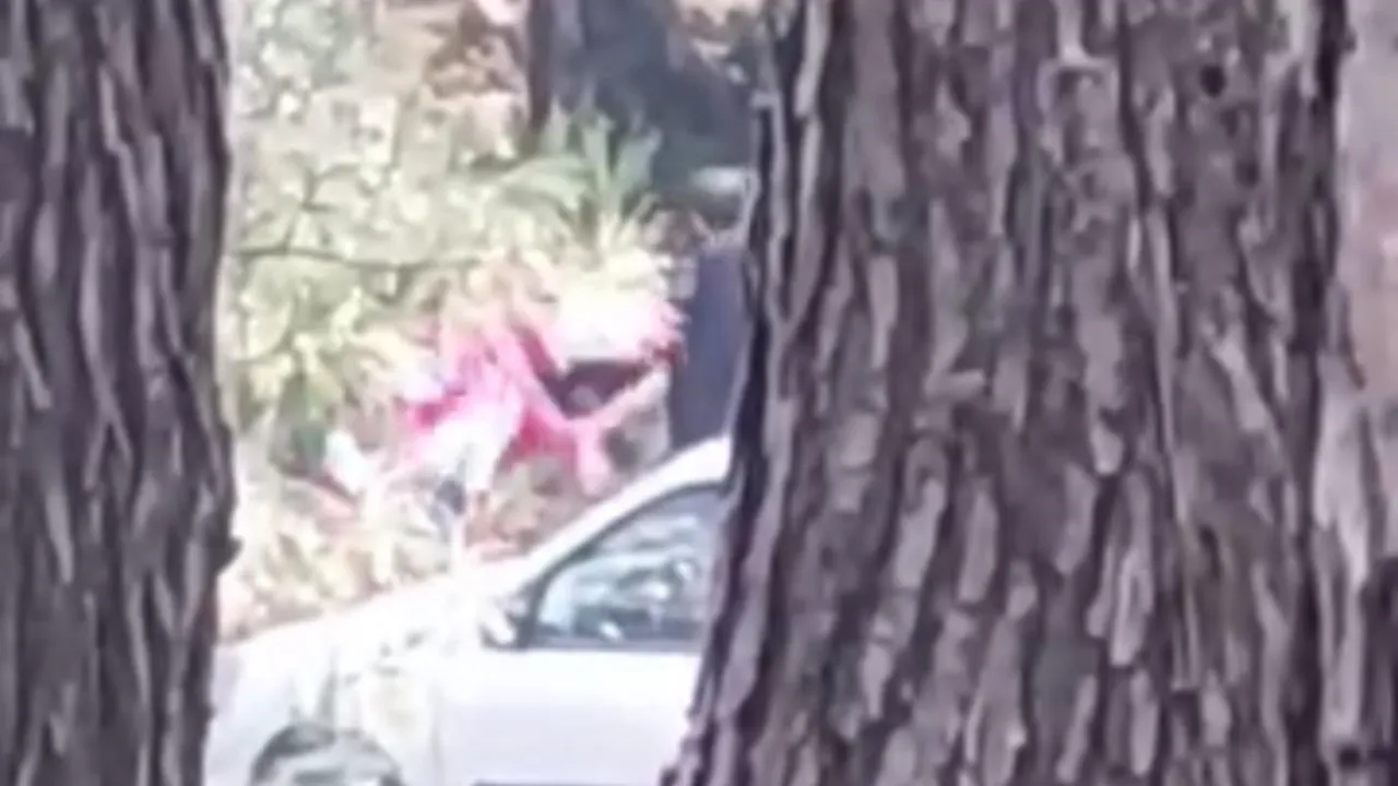 İmdat çığlıkları sosyal medyaya yansıdı! Ormanlık alandaki saldırgan kıskıvrak yakalandı