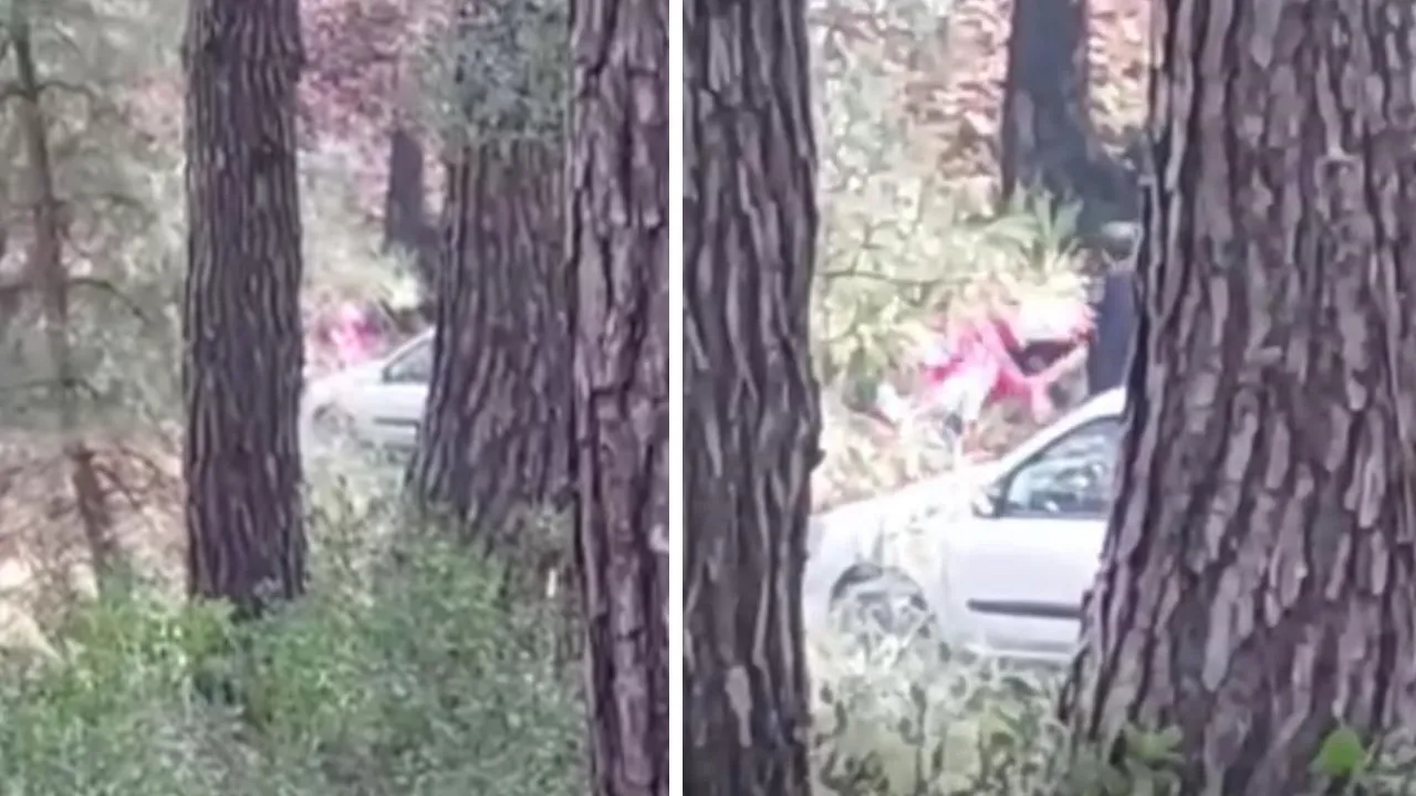 İzmir'de tepki çeken görüntü! Ormanlık alanda kadını darbeden şüpheli yakalandı