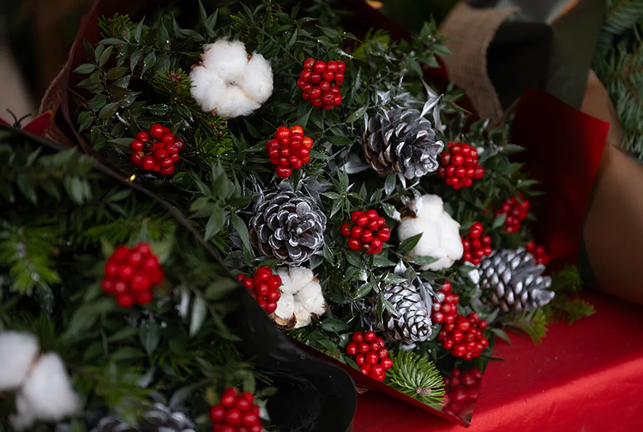 Kokina suya konur mu, nasıl bakılır? Kokina çiçeği bakım rehberi