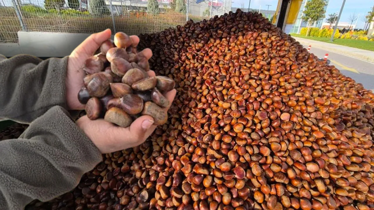 Sokakların kış klasiği kestane rekor kırdı: Günde 100 bin TL'den fazla kazandırıyor!