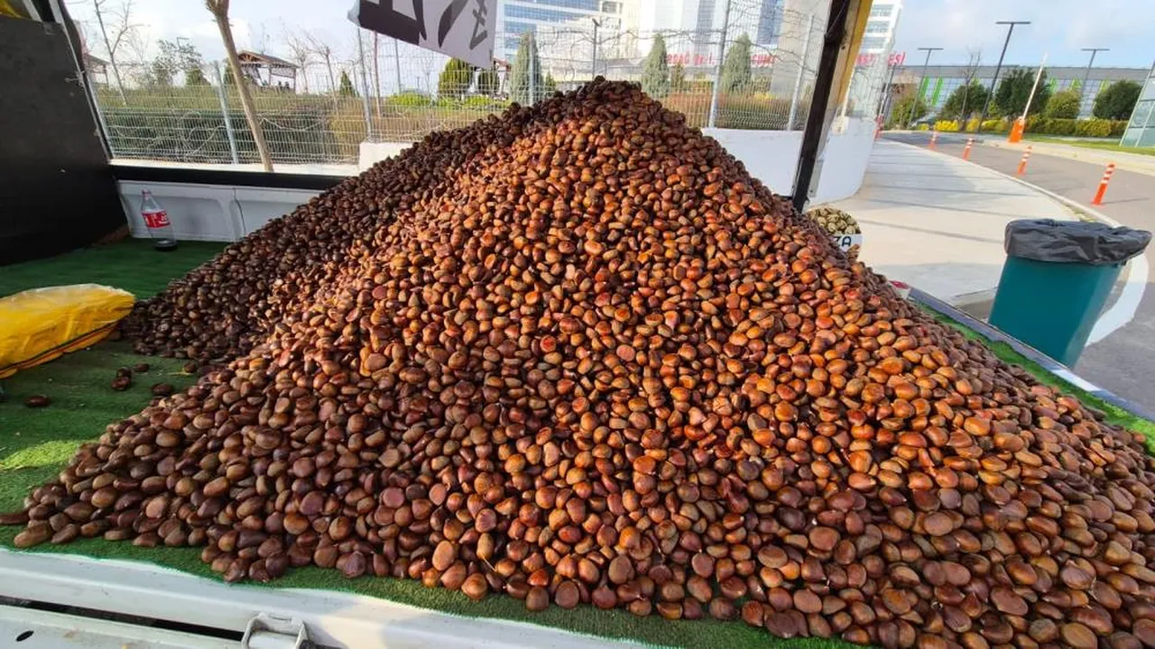 Sokakların kış klasiği kestane rekor kırdı: Günde 100 bin TL'den fazla kazandırıyor!