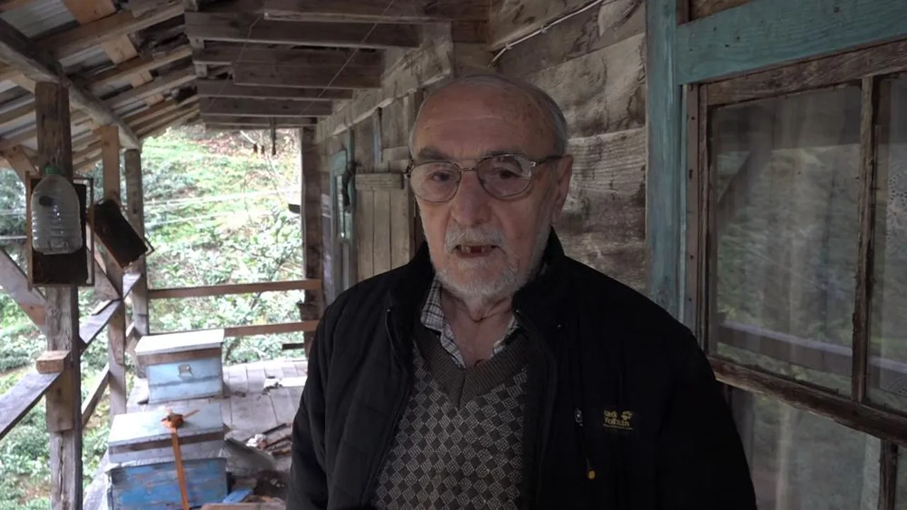 Trabzon'da ilginç görüntü! Aç ayı balkona tırmanıp bal yedi