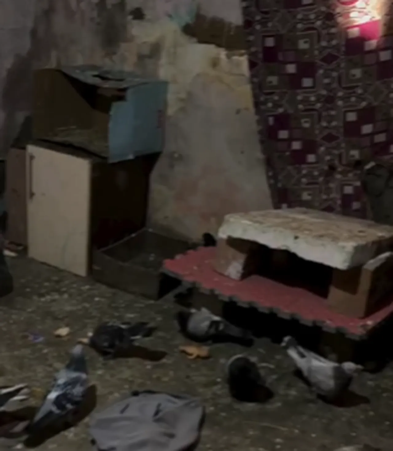 Yaşadığı yeri görenler inanamadı