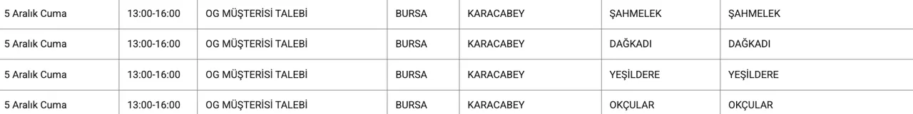 5 Aralık UEDAŞ Bursa elektrik kesintisi sorgulama: Bursada elektrikler ne zaman gelecek, saat kaçta?
