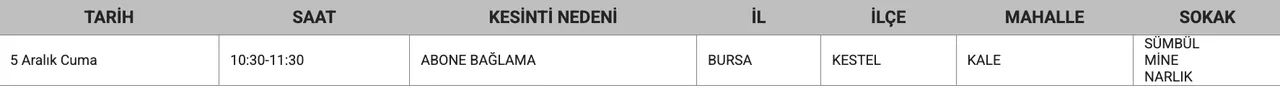 5 Aralık UEDAŞ Bursa elektrik kesintisi sorgulama: Bursada elektrikler ne zaman gelecek, saat kaçta?