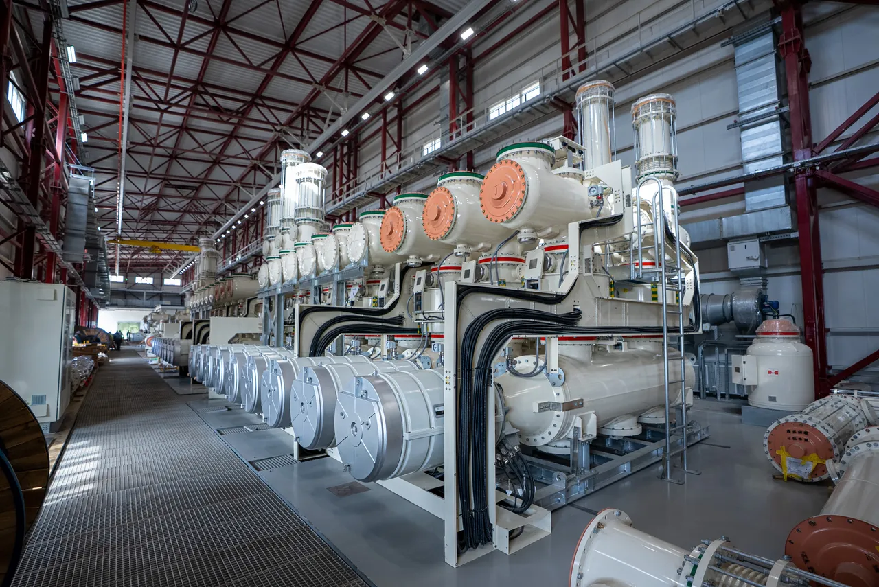 Akkuyu NGSdeki tesise elektrik verildi