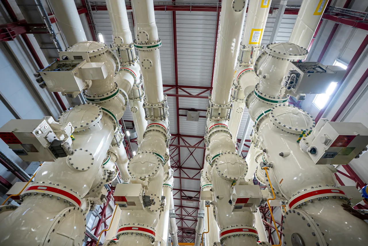 Akkuyu NGSdeki tesise elektrik verildi