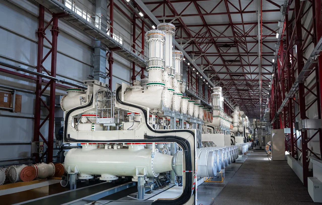 Akkuyu NGSdeki tesise elektrik verildi