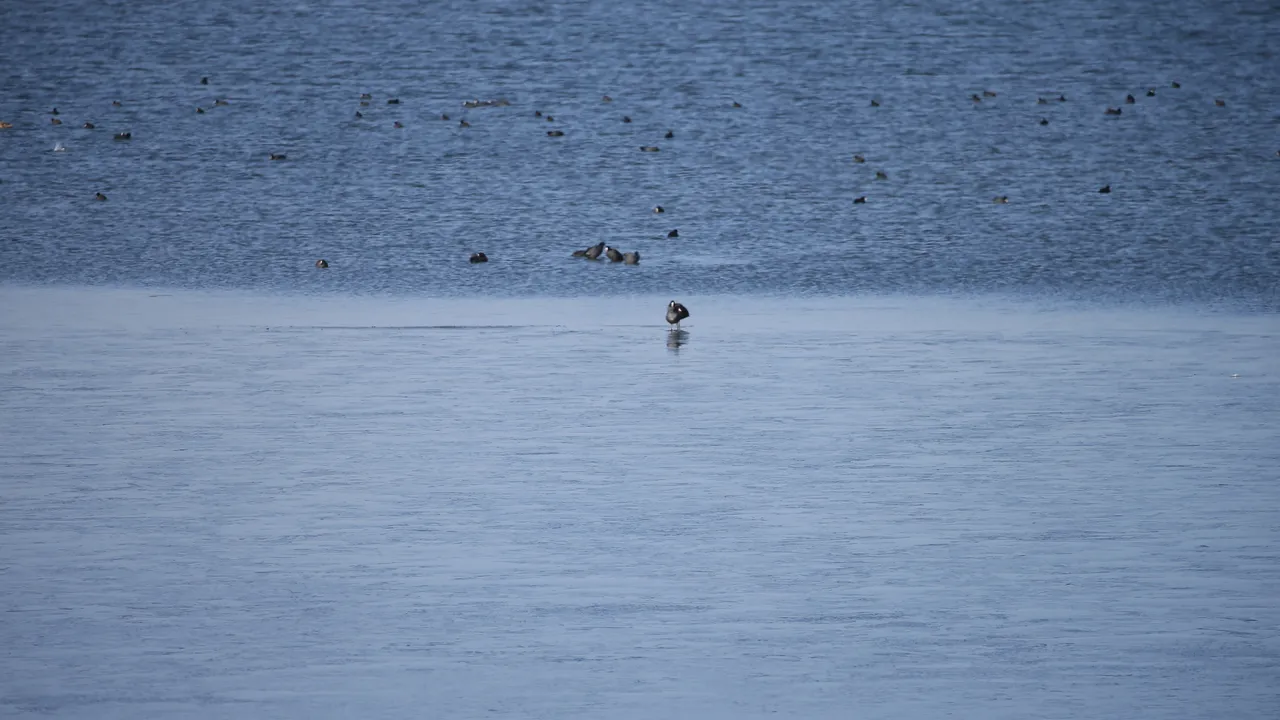 Çıldır Gölü donmaya başladı! Atlı kızaklar faaliyete hazırlanıyor