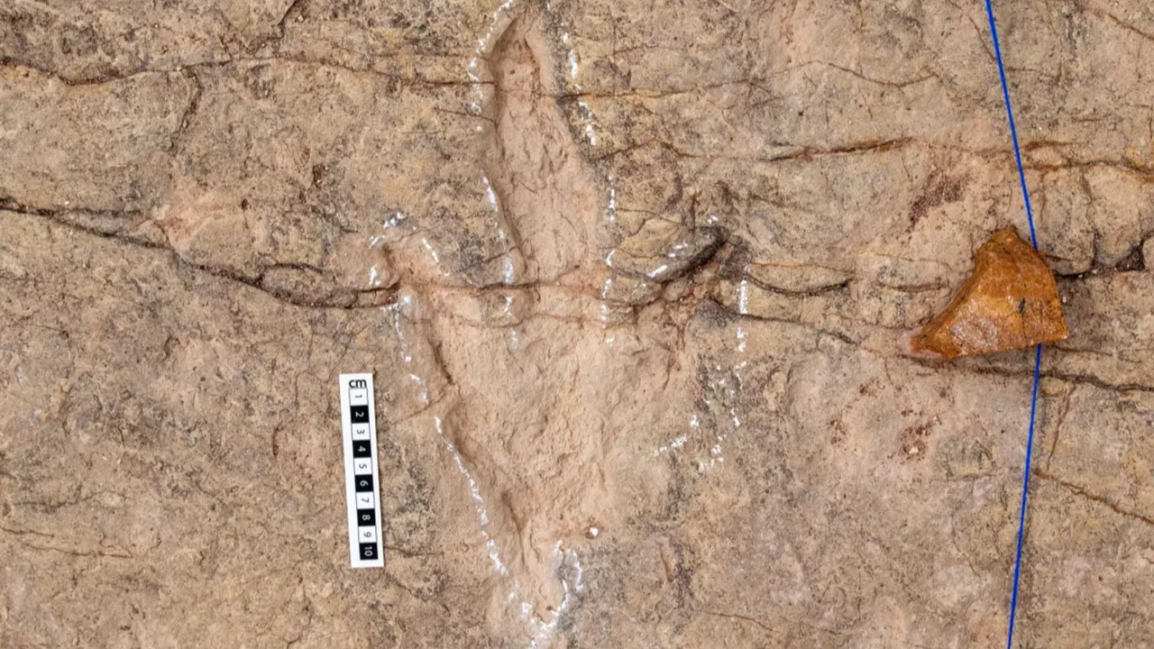  Dinozor Otoyolu  keşfedildi! 16 bini aşkın ayak izi ortaya çıktı