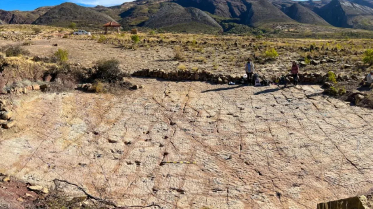  Dinozor Otoyolu  keşfedildi! 16 bini aşkın ayak izi ortaya çıktı