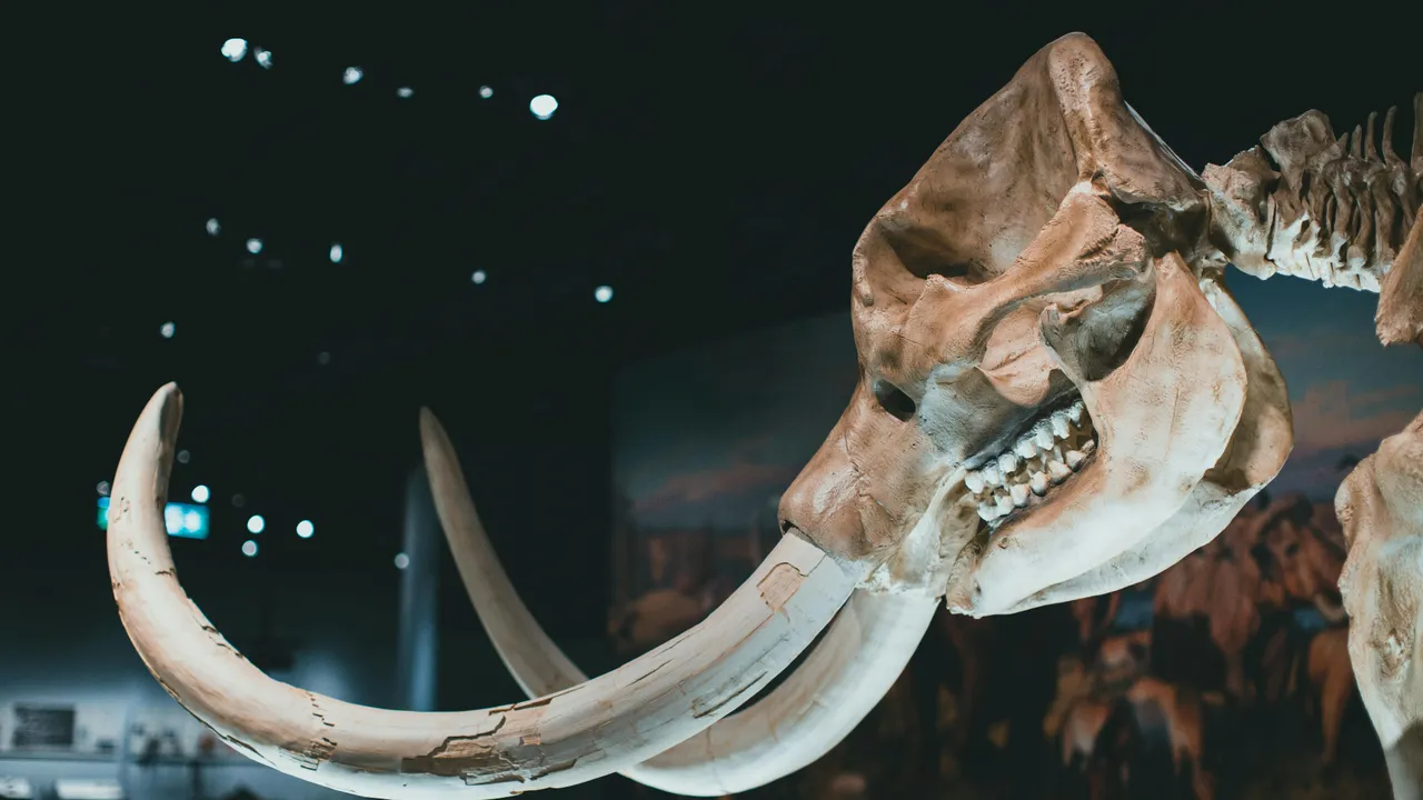  Dinozor Otoyolu  keşfedildi! 16 bini aşkın ayak izi ortaya çıktı