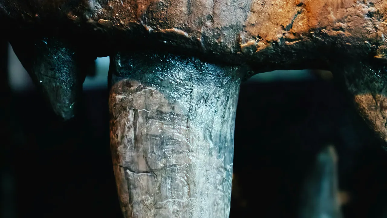  Dinozor Otoyolu  keşfedildi! 16 bini aşkın ayak izi ortaya çıktı