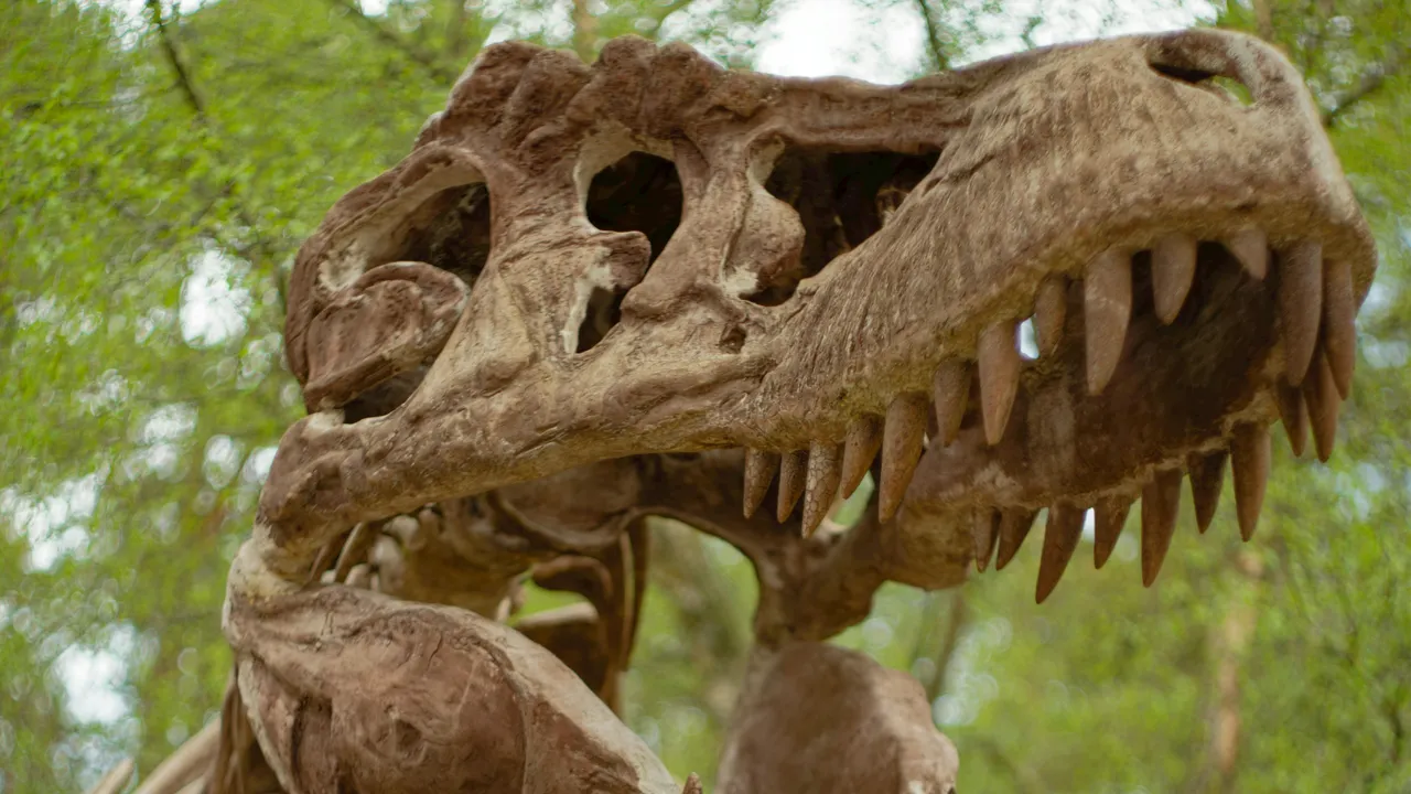  Dinozor Otoyolu  keşfedildi! 16 bini aşkın ayak izi ortaya çıktı