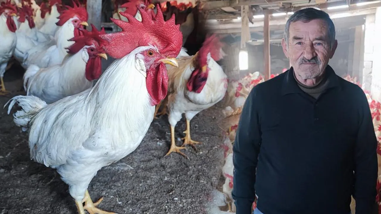 Hobiydi işi oldu! Maliyeti 250 bin TL, tanesini 500 liradan satıyor...