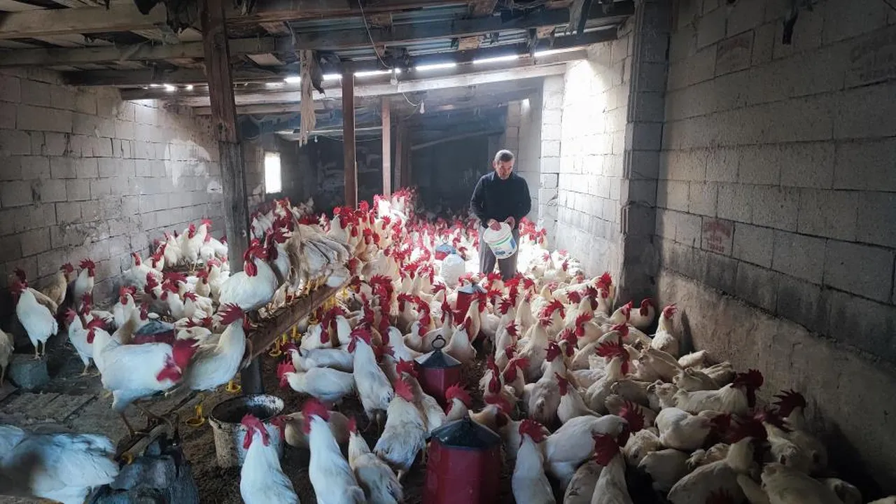 Hobiydi işi oldu! Maliyeti 250 bin TL, tanesini 500 liradan satıyor...