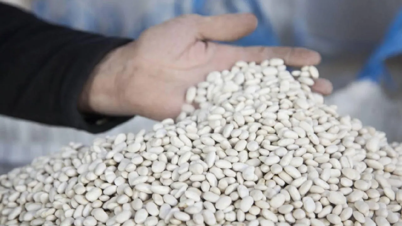 İletişim Başkanlığı'ndan 