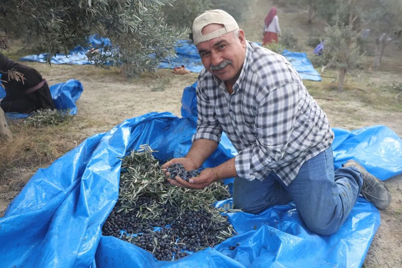 Bu sene beklenti düşük kaldı