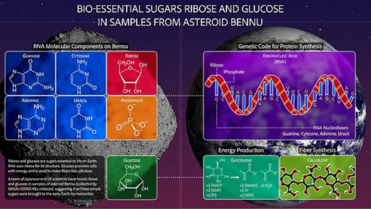 NASA, Bennu asteroidinde hayat için gerekli olan şeker molekülleri buldu: Uzayda hayat var mı?