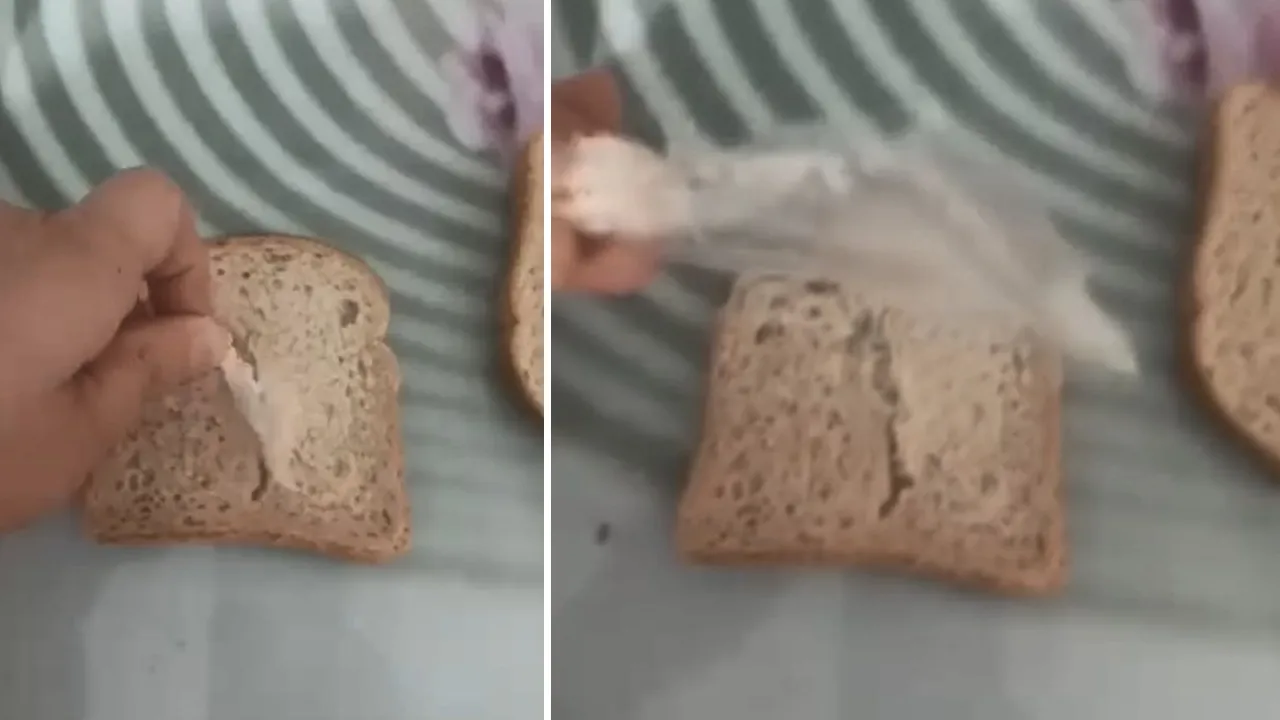 Ne kıl, ne taş, ne de cam... Ekmekten çıktı, uzakdıkca uzadı! Görenler şoke oldu