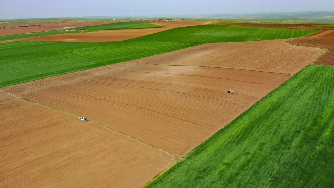 VERİME GÖRE TAZMİNAT!