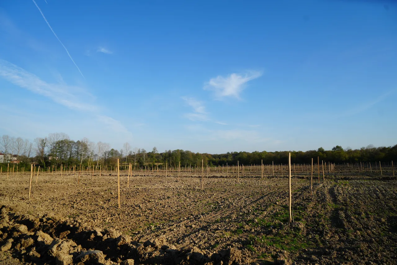 Karadenizin en büyük projesi! 50 milyon TLlik gelir kız öğrencilerine burs olacak