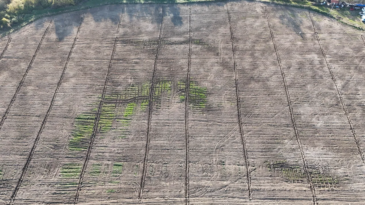 Karadenizin en büyük projesi! 50 milyon TLlik gelir kız öğrencilerine burs olacak