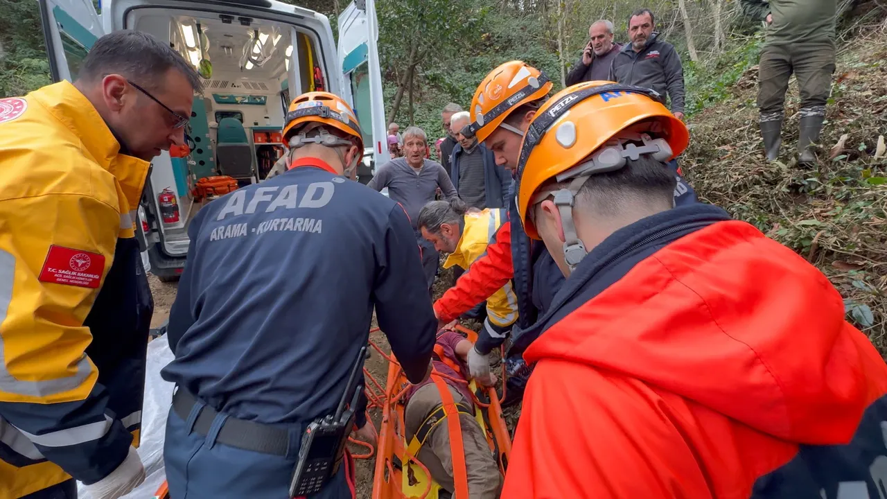Kestiği ağaç canından ediyordu! Uçuruma yuvarlandı