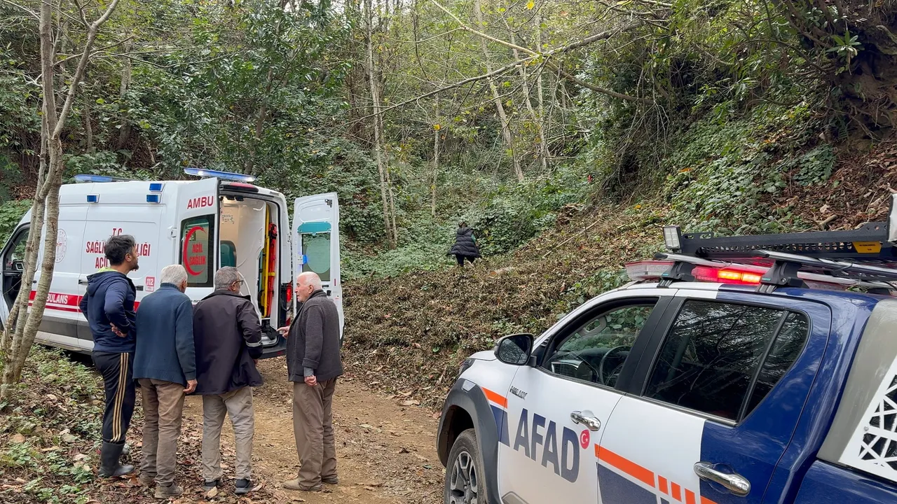 Kestiği ağaç canından ediyordu! Uçuruma yuvarlandı