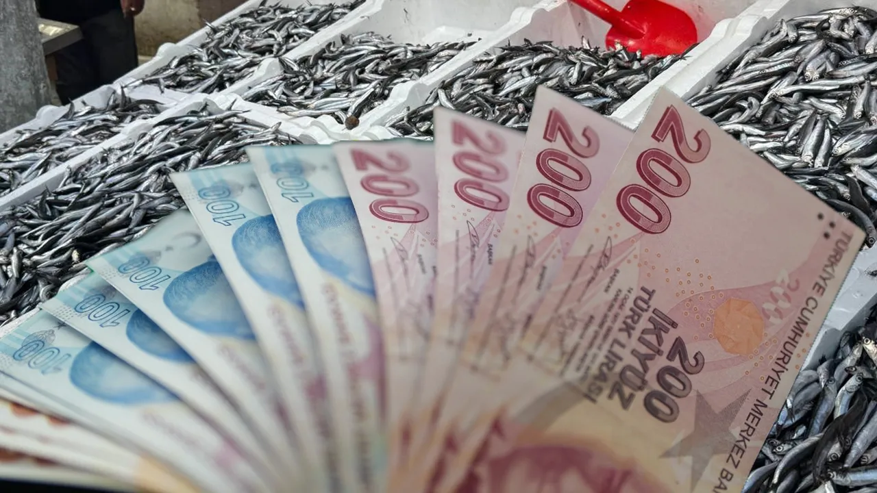 Tezgahtaki hamsinin fiyatı 3 katına fırladı! Karadeniz’de dengeleri bozan gelişme