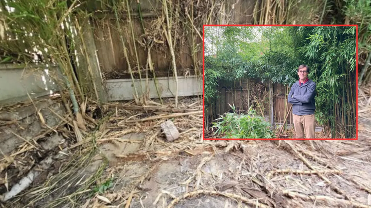 10 yıl sonra ortaya çıkan gizli tehlike! Betonun altından komşulara kadar sızdı