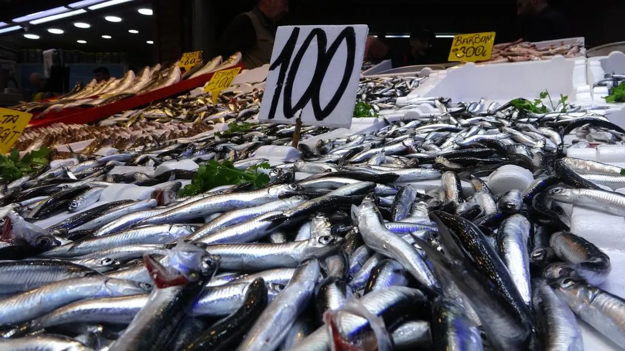 Hamsinin fiyatı değişiyor...