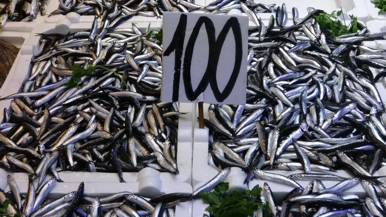 Bu sene bereket yağdı, sofraların vazgeçilmezi son günlerini yaşıyor! Fiyat yükselince talep azaldı