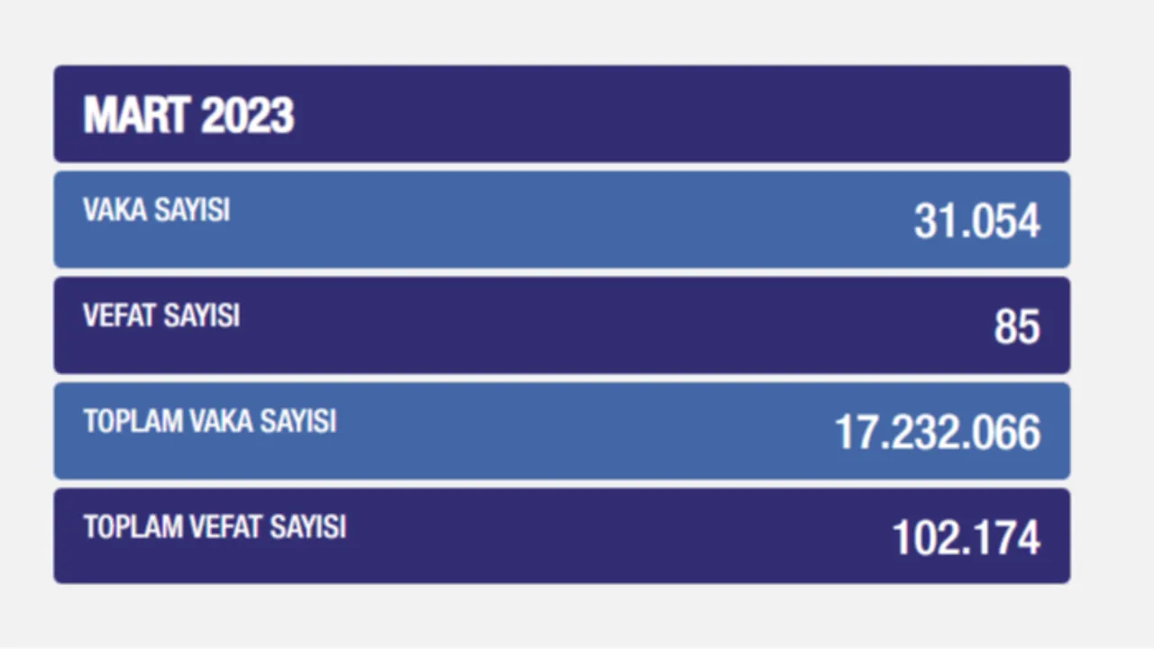Koronavirüs pandemisinin altıncı yılı: Milyonlarca ölü, trilyonlarca dolar kayıp