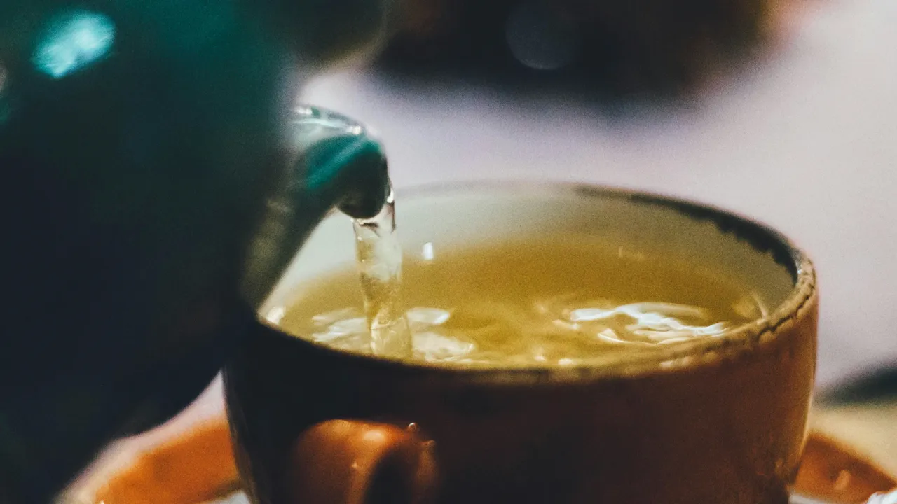 Harvard Beslenme Uzmanı Açıkladı: Beyni Keskinleştiren ve Hafızayı Güçlendiren 6 İçecek!